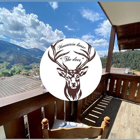 Апартаменти Mountain House The Deer Тезеро Екстер'єр фото